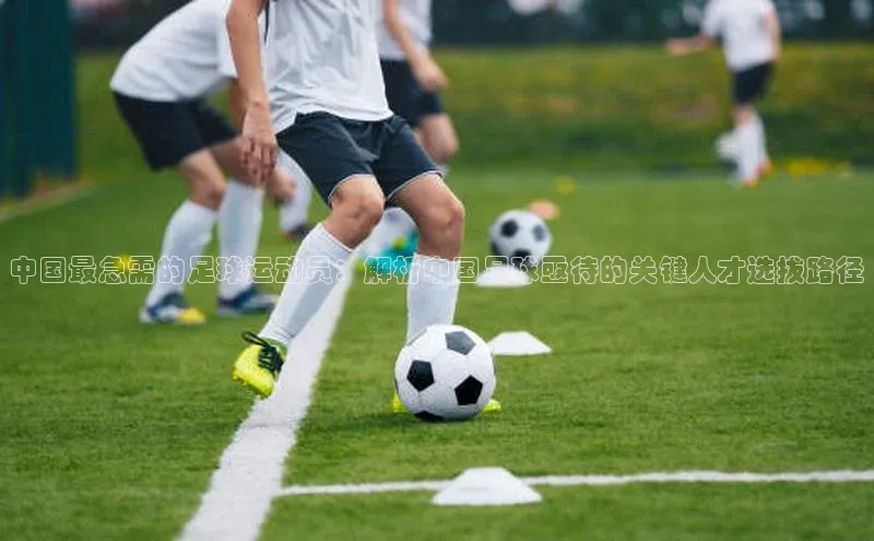 杏盛娱乐度小满理财中国最急需的足球运动员：解析中国足球亟待的关键人才选拔路径