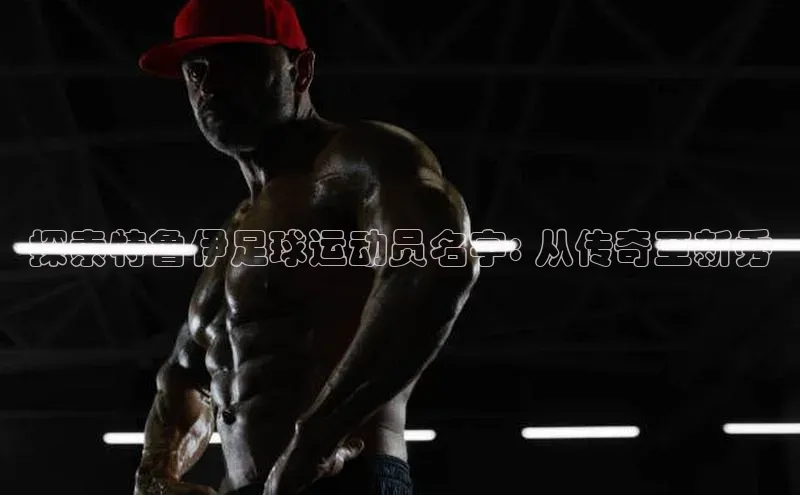 杏盛测速官网百度大脑探索特鲁伊足球运动员名字: 从传奇至新秀