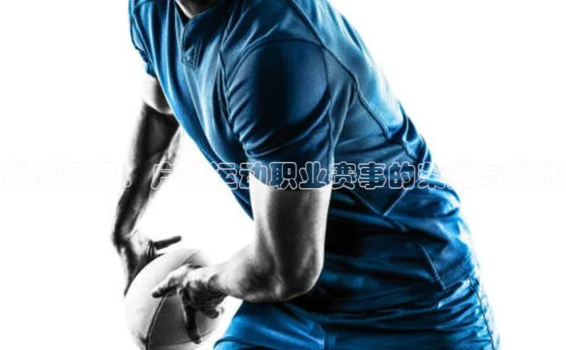 杏盛测速官网百度人工翻译挑战极限：户外运动职业赛事的荣耀与挑战