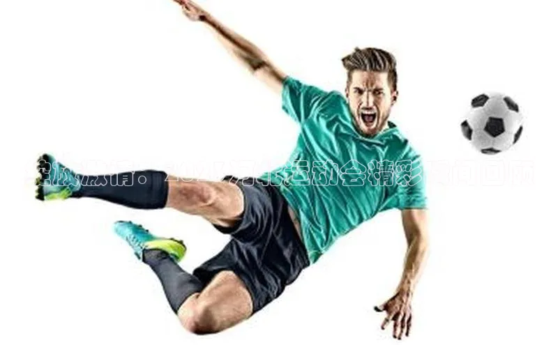 绽放激情：2023河北运动会精彩瞬间回顾