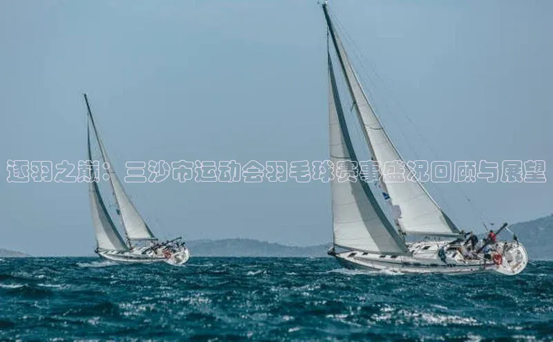 逐羽之巅：三沙市运动会羽毛球赛事盛况回顾与展望