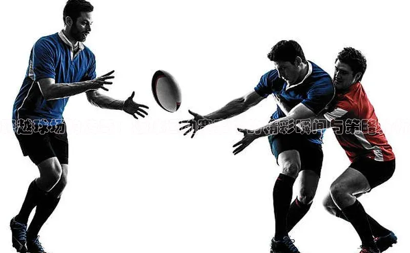 跨越球场的传奇：板球运动赛事中的精彩瞬间与策略分析