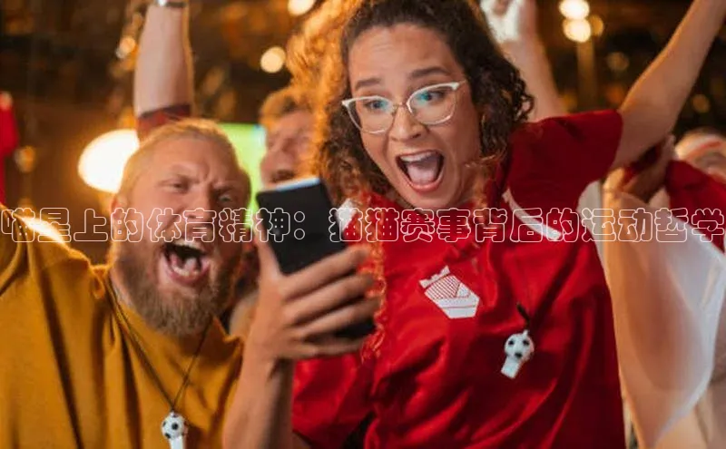 喵星上的体育精神：猫猫赛事背后的运动哲学