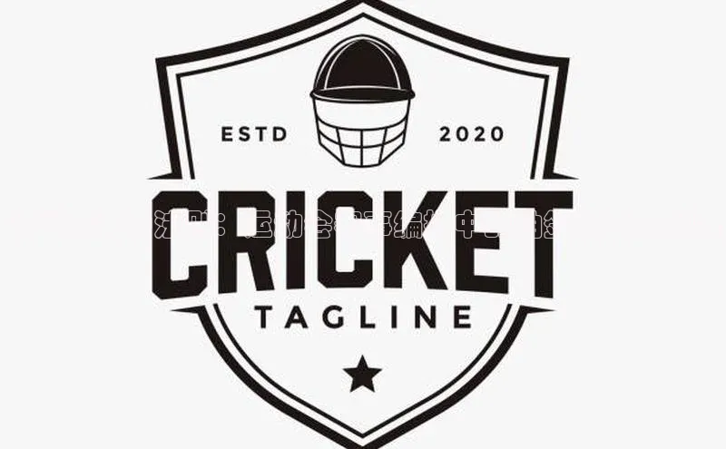 公平竞争的法则：运动会赛事编排中的抽签技巧与策略