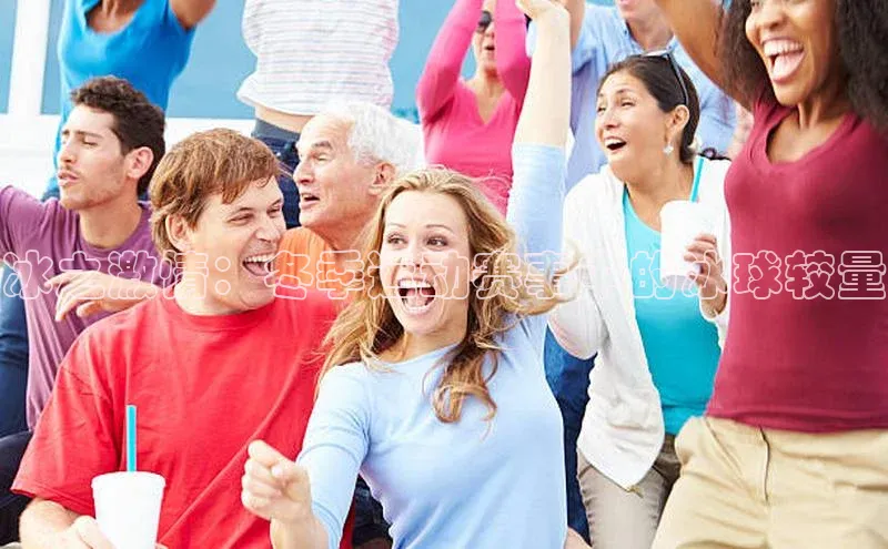 冰之激情：冬季运动赛事中的冰球较量