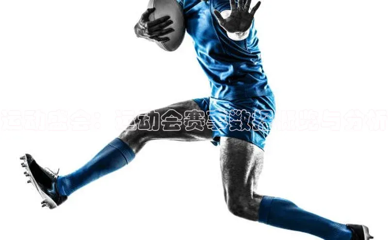 运动盛会：运动会赛事数据概览与分析