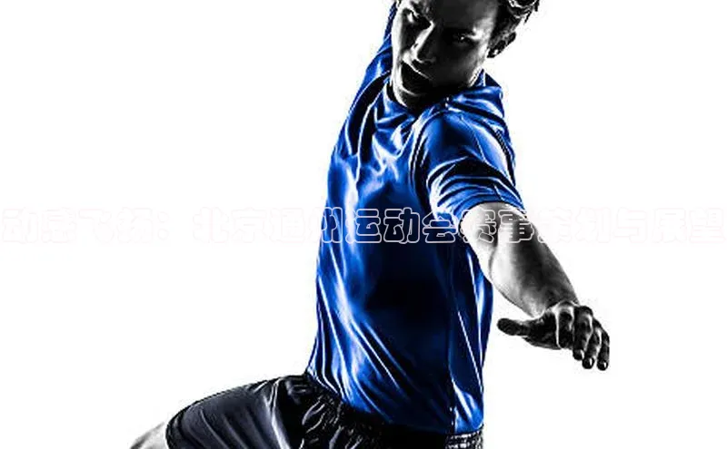 动感飞扬：北京通州运动会赛事策划与展望