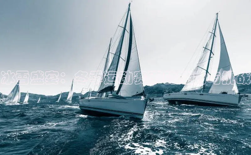 冰雪盛宴：冬季运动赛事的魅力与挑战