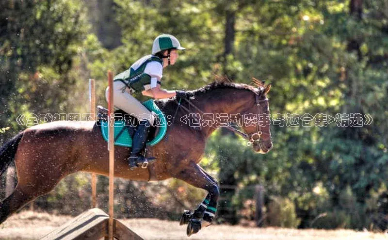 《全球视野下的运动奇迹：<世界运动赛事奇迹合集>精选》