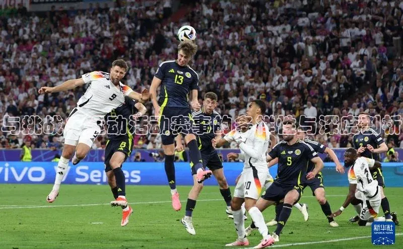 与挑战：运动活动赛事的多样性与深度剖析