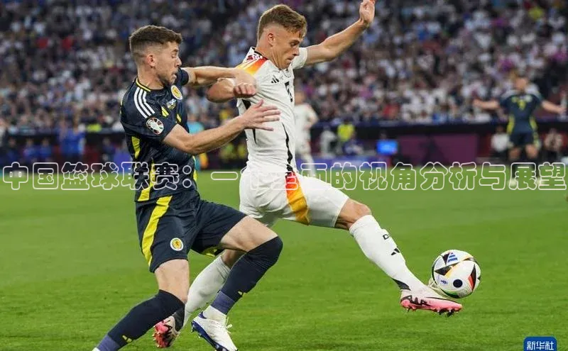 中国篮球联赛：一个全面的视角分析与展望