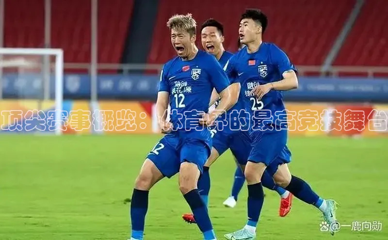 顶尖赛事概览：体育界的最高竞技舞台