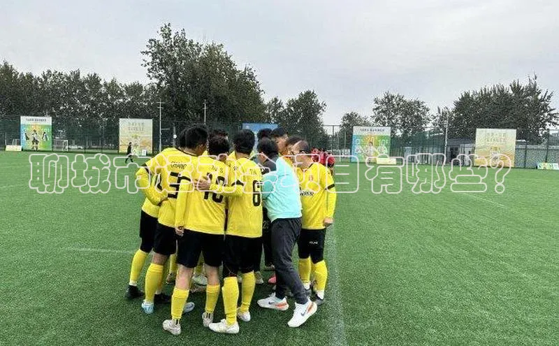 聊城市运动会项目有哪些？