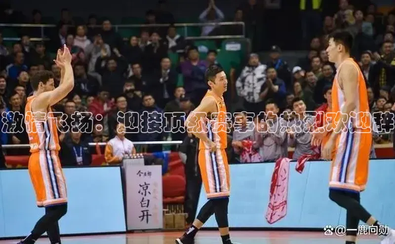 杏盛招商